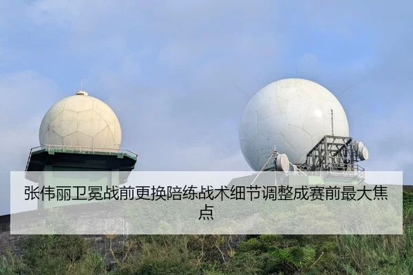 张伟丽卫冕战前更换陪练战术细节调整成赛前最大焦点